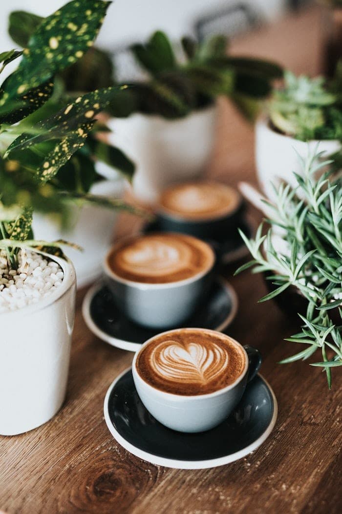 Two lattes with leaf latte art on a wooden table